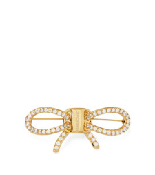 [Salvatore Ferragamo] Brooch FW26 760979795018001