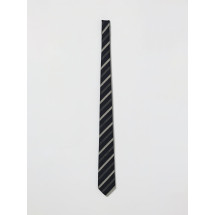 [Emporio Armani] Tie SS26 EM001344TE19704 FB172