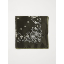 [Etro] Scarf SS26 MAXA0006AKH00 V0556