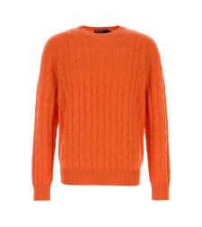 [Polo Ralph Lauren] Knitwear FW26 710876728 023