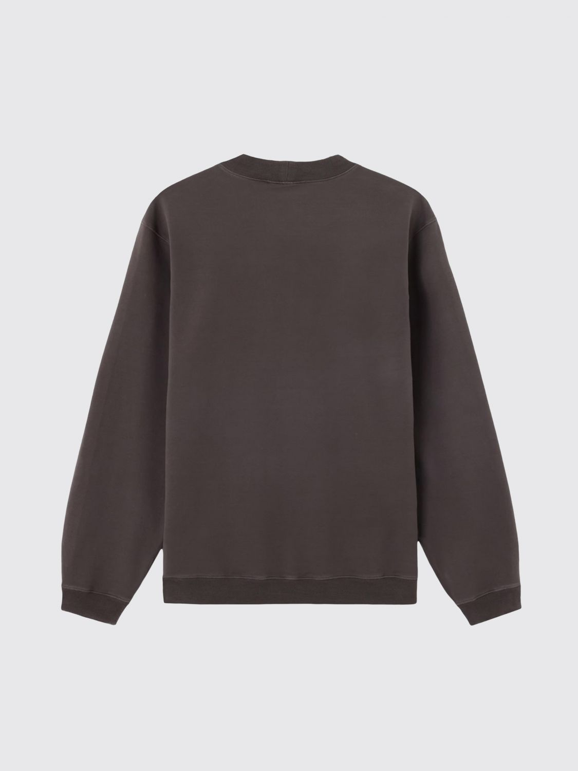 [Stone Island] Sweatshirt SS26 6100036S00G5 V0065