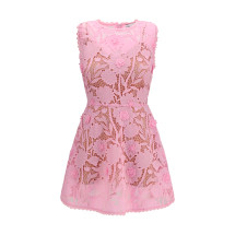 Short lace Dress