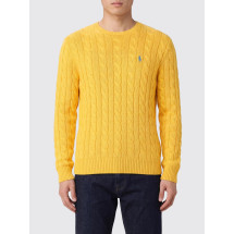 [Polo Ralph Lauren] Knitwear SS26 710775885 533