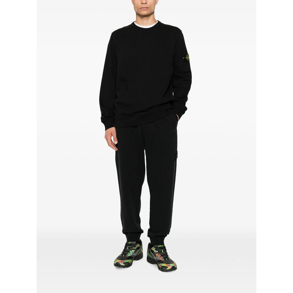 [Stone Island] Sweatshirt FW26 156100049 S0A20 V0029