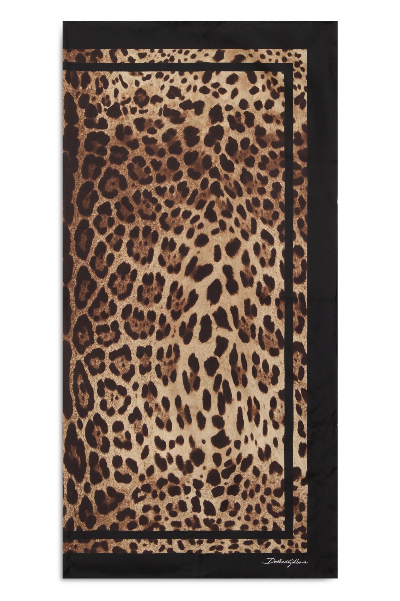 [Dolce & Gabbana] Scarf CO FN090RGDCF5_HN13M