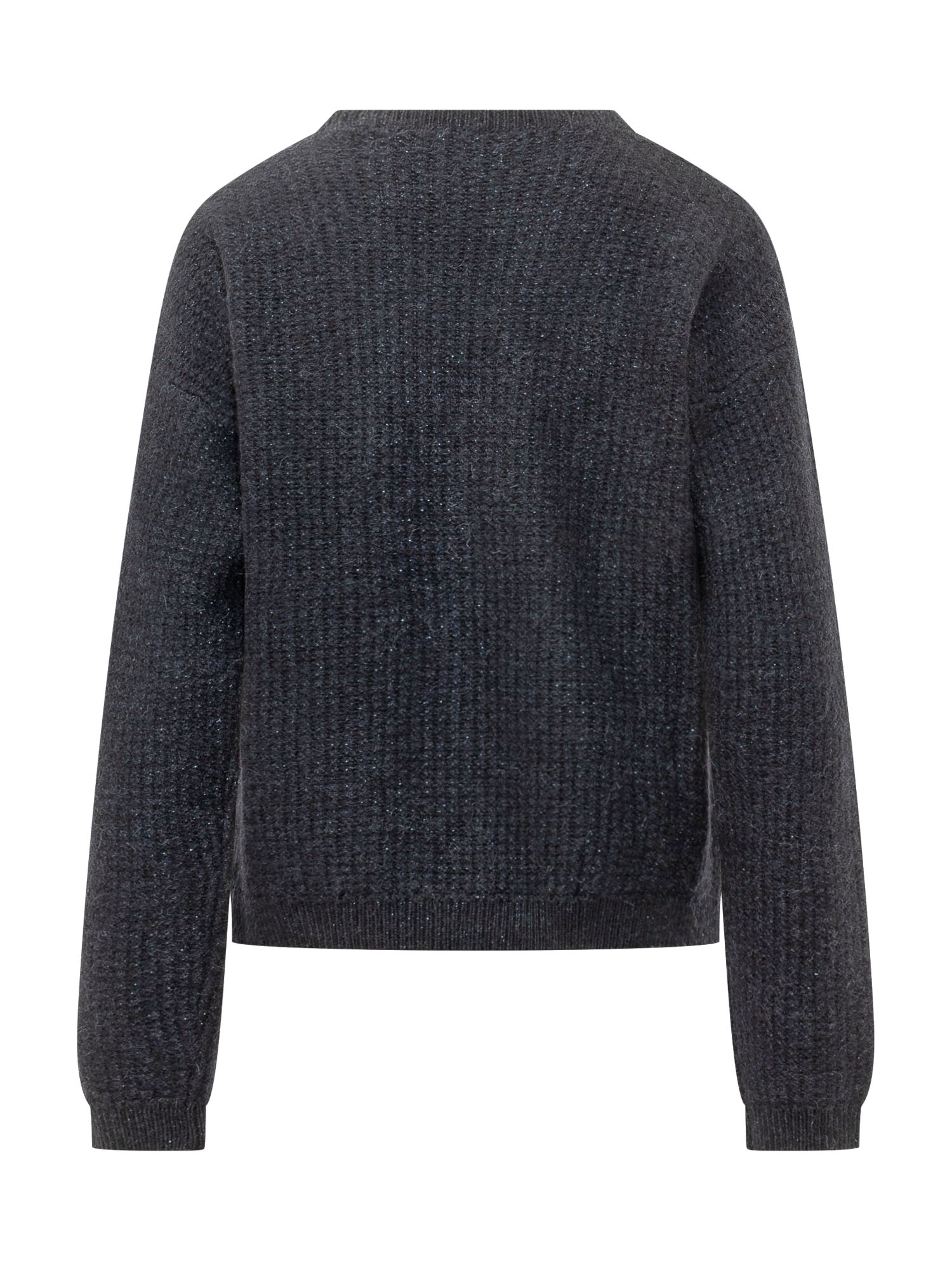 [Fabiana Filippi] Knitwear FW26 MAD216F068M272 5146
