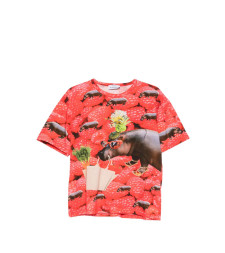 [THE ARTISTYLIST] T-shirts Short Sleeve SS26 RUSBERRY TSHIRT COTTON MLT