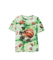 [THE ARTISTYLIST] T-shirts Short Sleeve SS26 ROCK SALAD TSHIRT MLT
