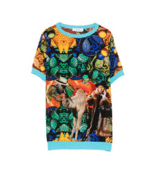 [THE ARTISTYLIST] T-shirts Short Sleeve SS26 CAMEL TSHIRT MLT