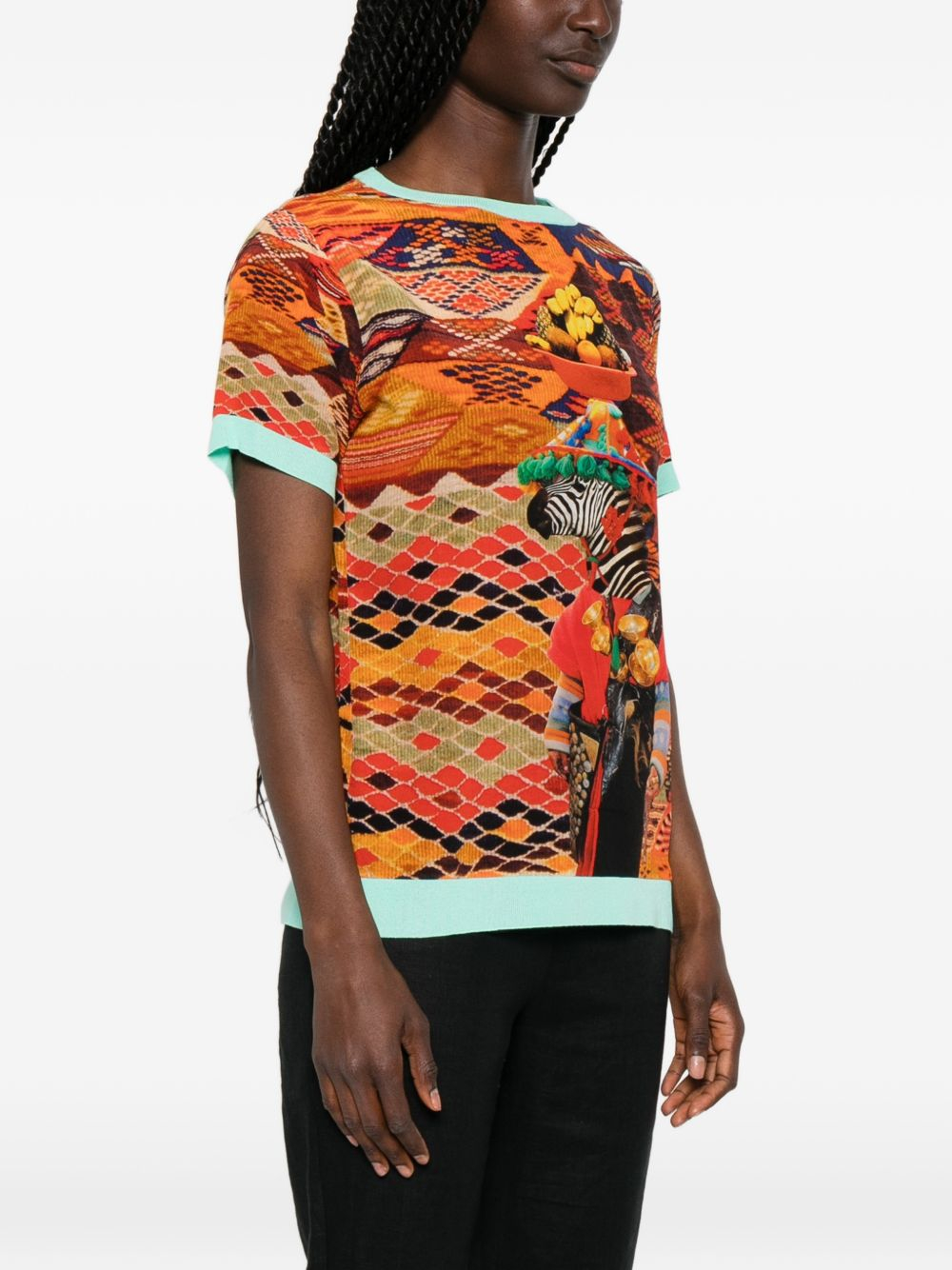[THE ARTISTYLIST] T-shirts Short Sleeve SS26 ZEBRA TSHIRT MLT