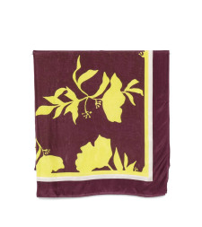 [Sgombero Cantine] Scarf SS26 9564 PERSEO 5