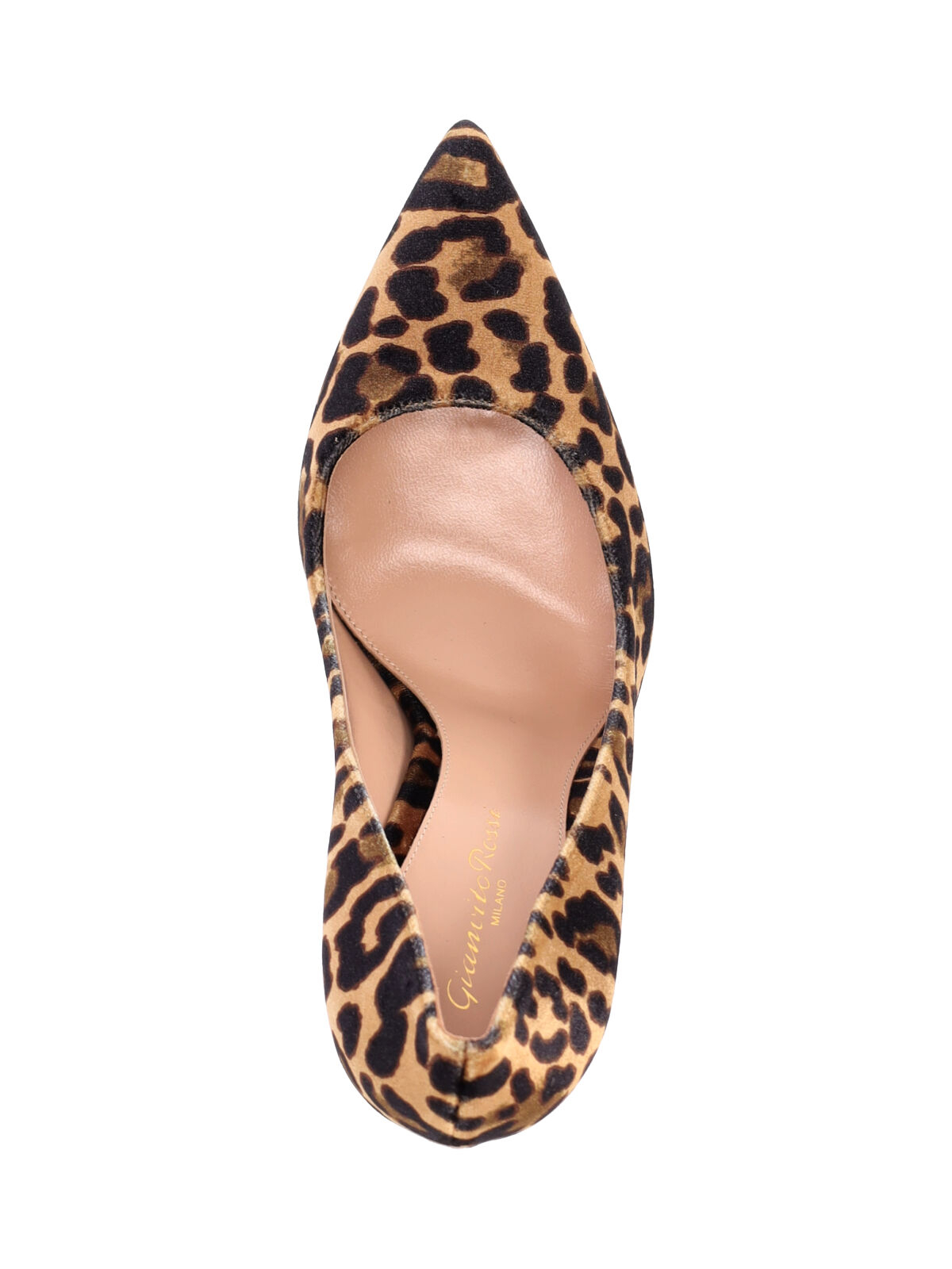 [Gianvito Rossi] Pumps FW26 G28470 15RIC VELLEPA