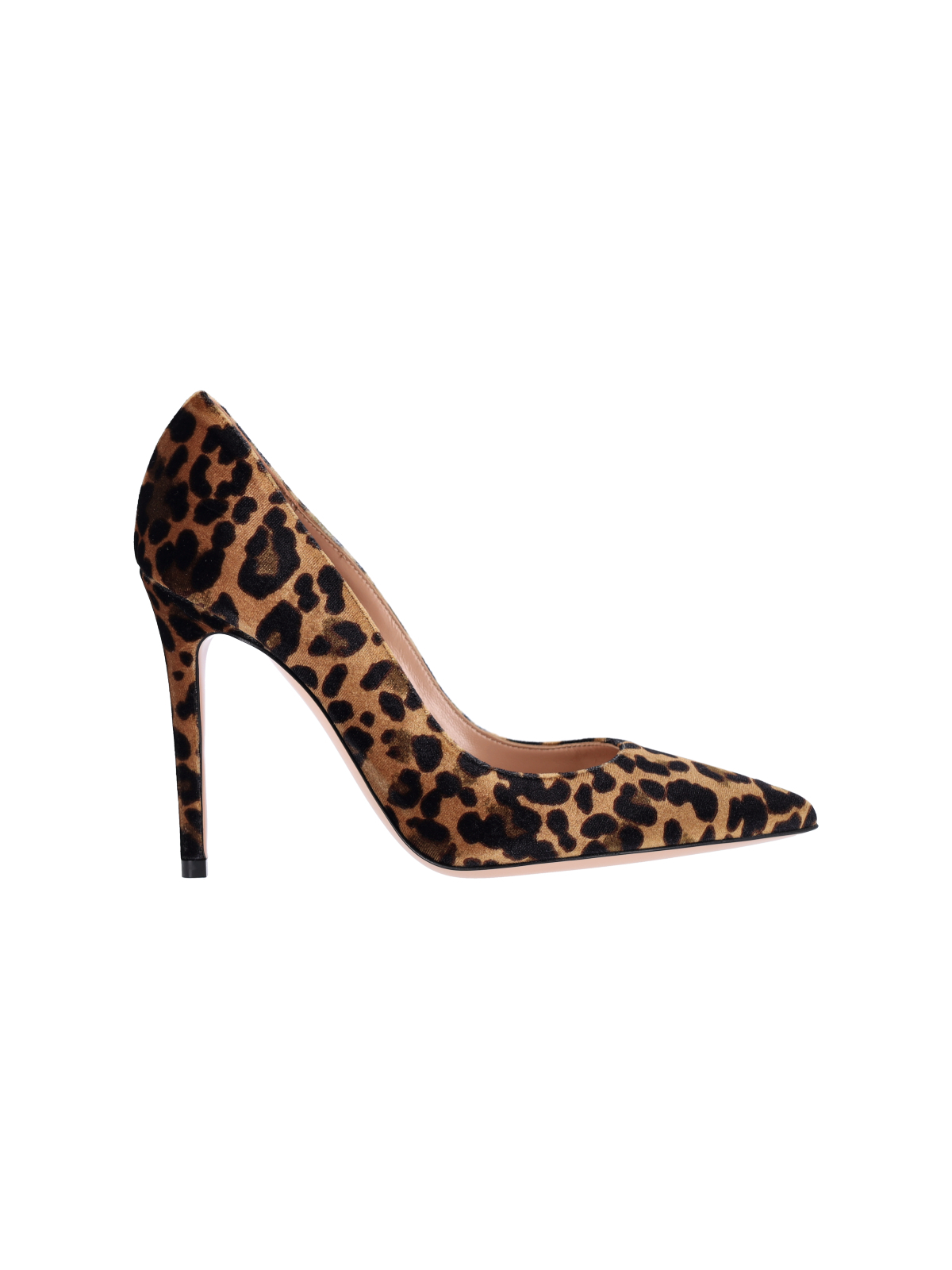 [Gianvito Rossi] Pumps FW26 G28470 15RIC VELLEPA