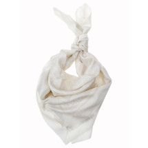 [Etro] Scarf SS26 WAXA0006 AK631