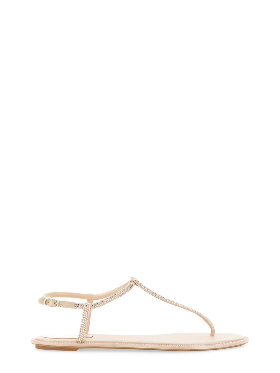 [Rene Caovilla] Sandals FW26 C11574_010R001V233