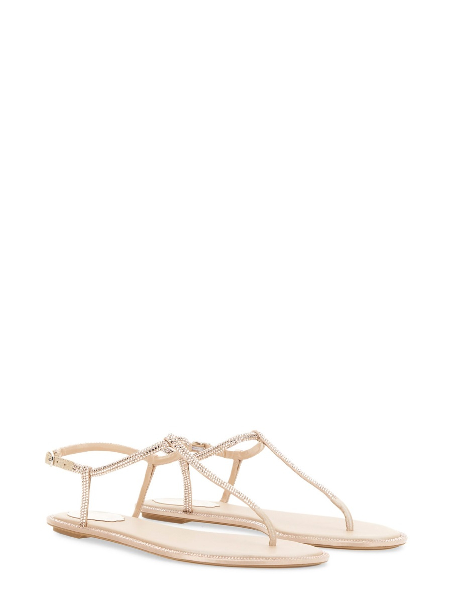 [Rene Caovilla] Sandals FW26 C11574_010R001V233