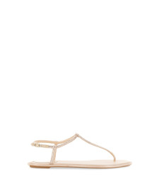 [Rene Caovilla] Sandals FW26 C11574_010R001V233