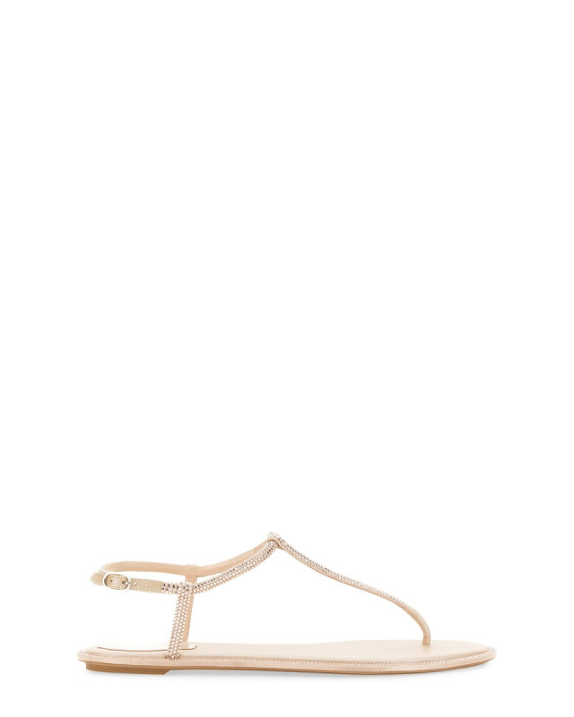 [Rene Caovilla] Sandals FW26 C11574_010R001V233