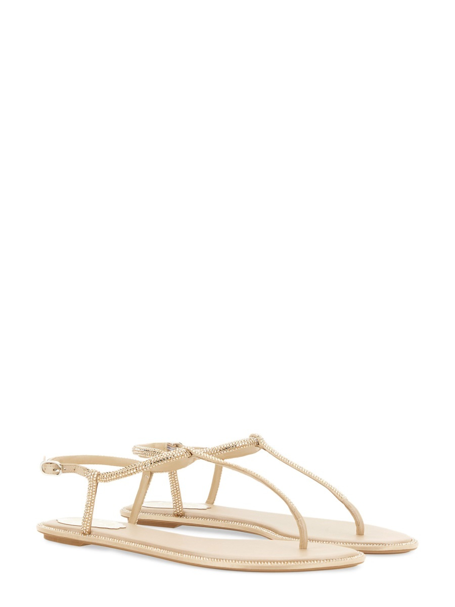 [Rene Caovilla] Sandals FW26 C11574_010R001V104