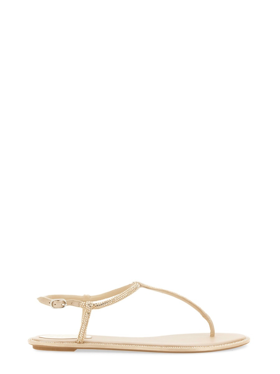 [Rene Caovilla] Sandals FW26 C11574_010R001V104