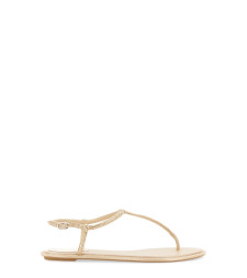 [Rene Caovilla] Sandals FW26 C11574_010R001V104