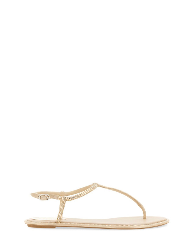 [Rene Caovilla] Sandals FW26 C11574_010R001V104