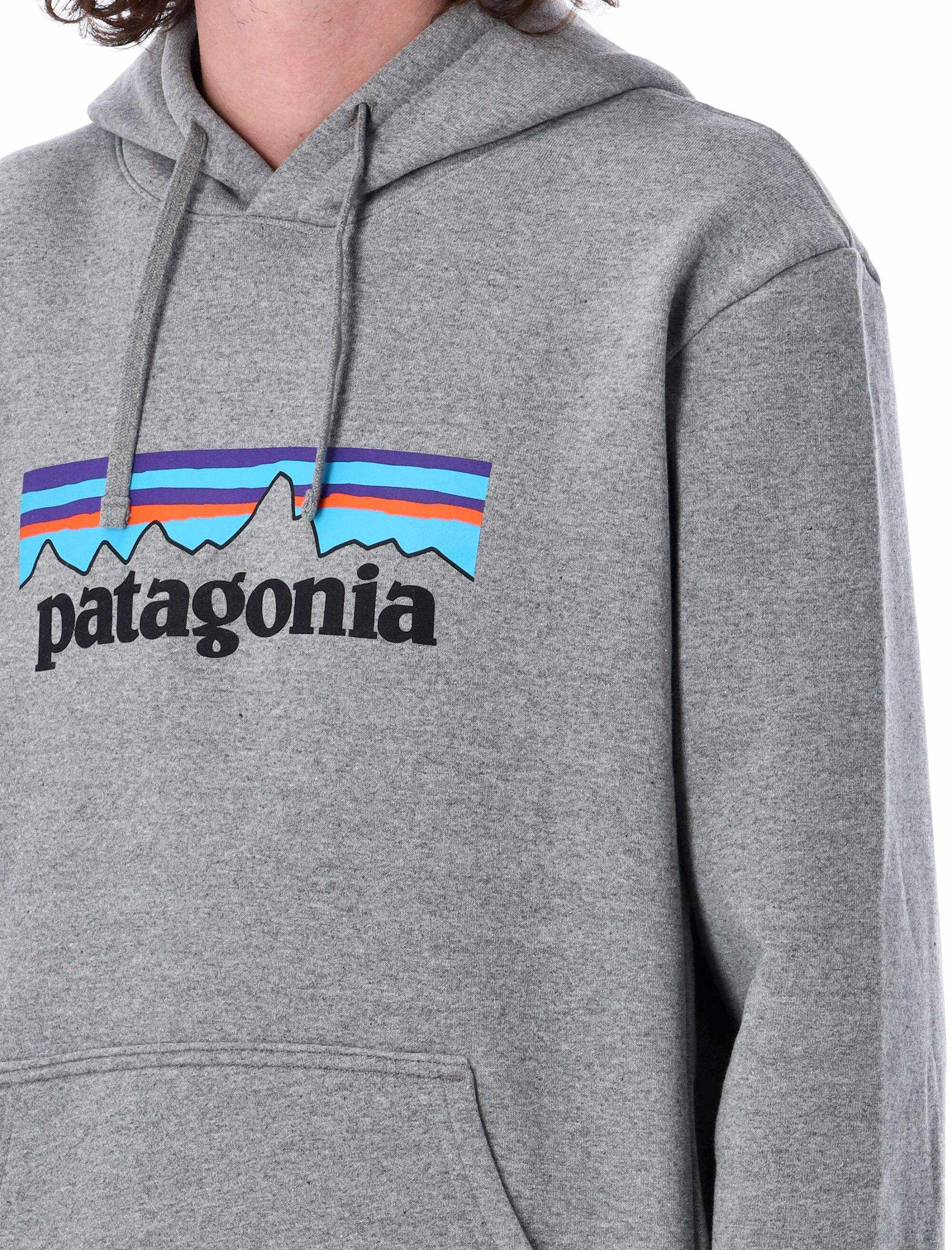 [Patagonia] Hoodie FW26 39622GLH