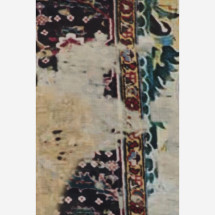 [Faliero Sarti] Scarf FW26 20753250