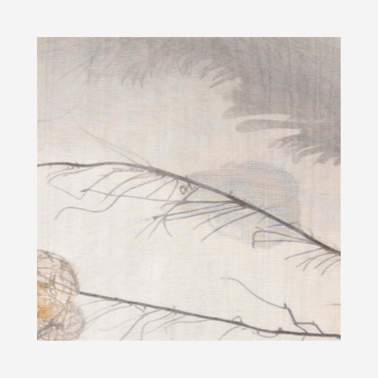 [Faliero Sarti] Scarf FW26 21863660
