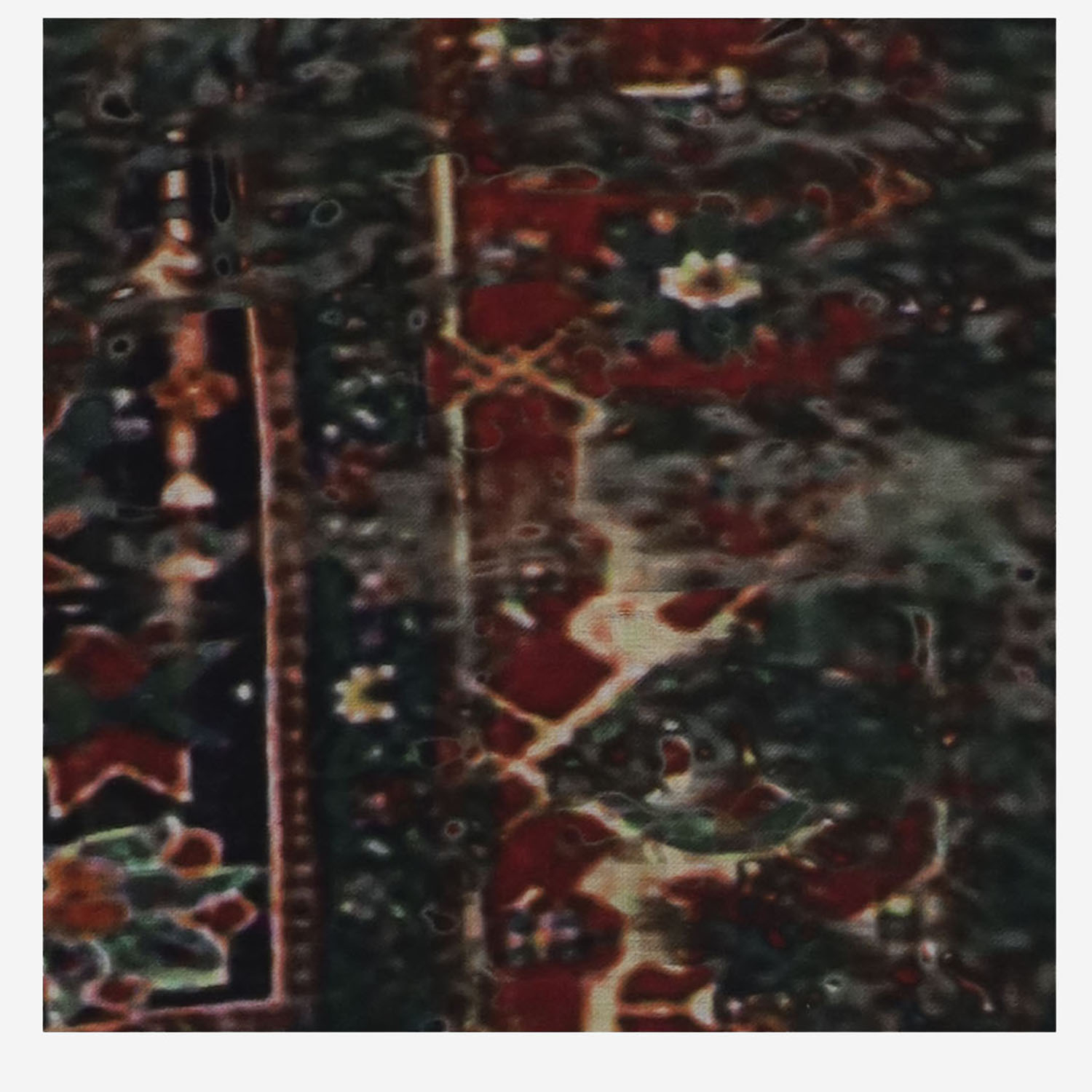 [Faliero Sarti] Scarf FW26 20743290