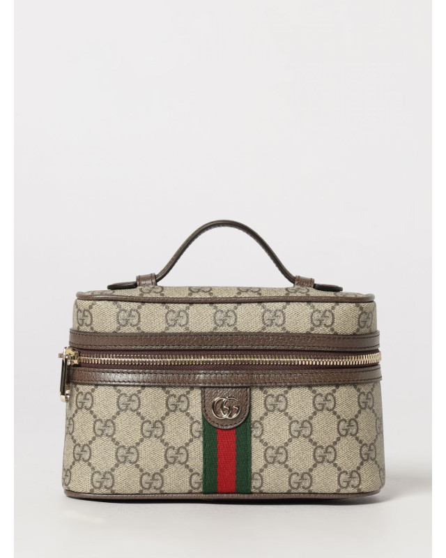 [Gucci] Minibag SS26 838491FAE0P 9746