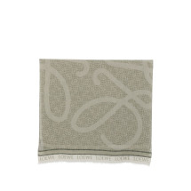 [LOEWE PAULA'S IBIZA] Scarf SS26 FSA2SS2W014160