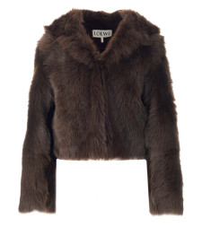 [Loewe] Casual Jacket FW22 S540Y19L273110