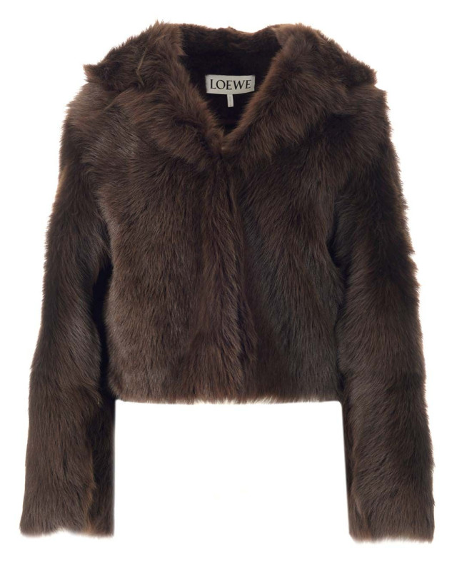 [Loewe] Casual Jacket FW22 S540Y19L273110
