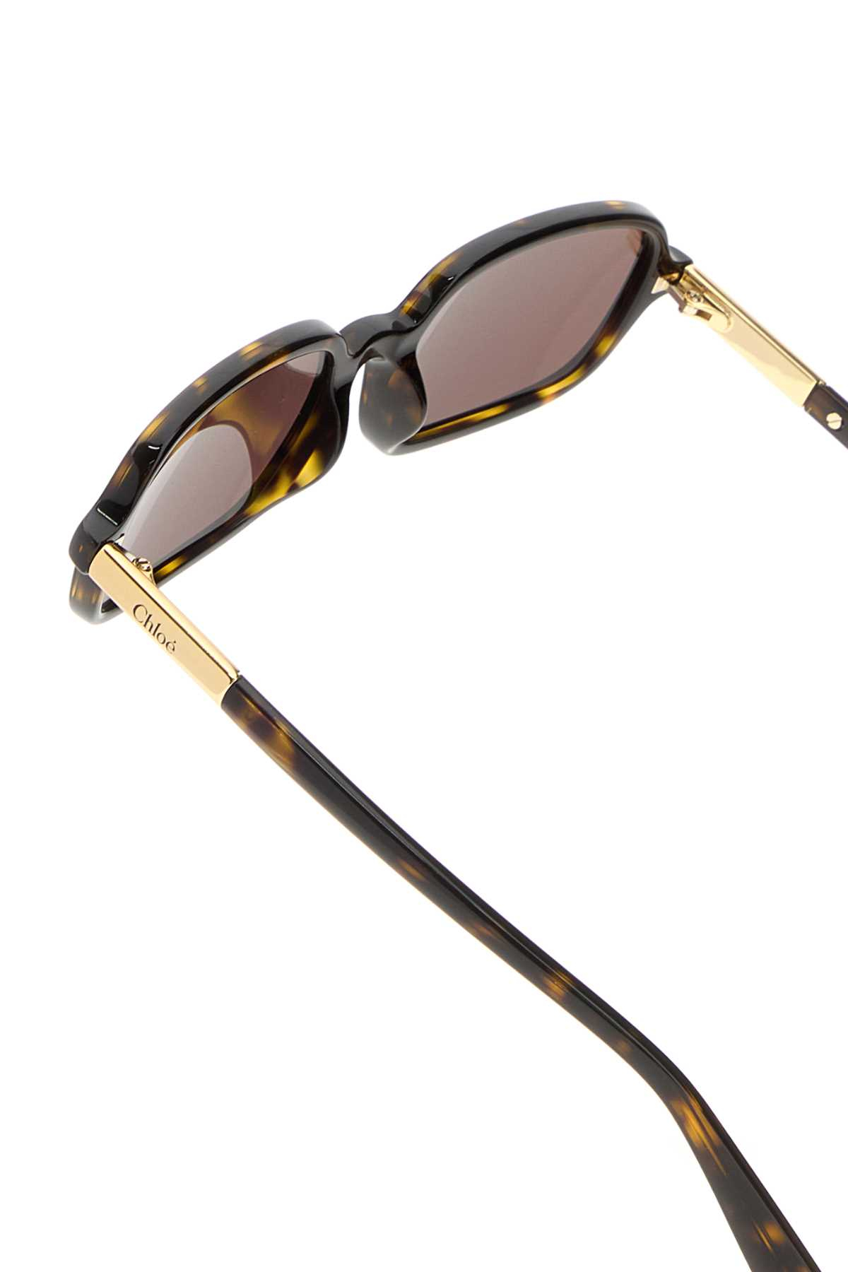 [Chloe] Sunglasses SS26 CH0363S00253 BROWN