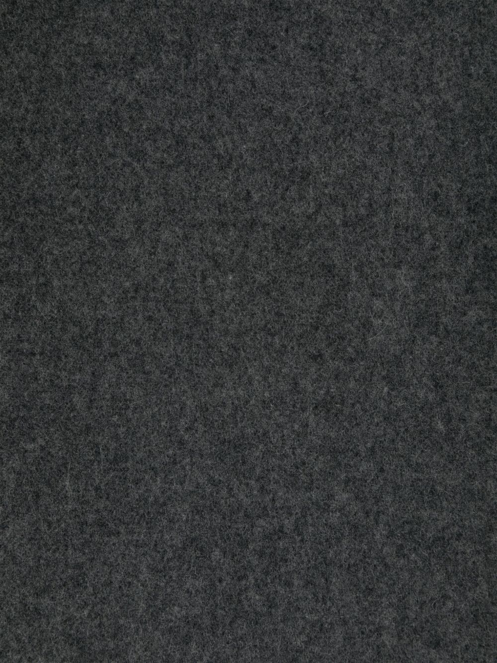 [Polo Ralph Lauren] Scarf FW26 449891308003