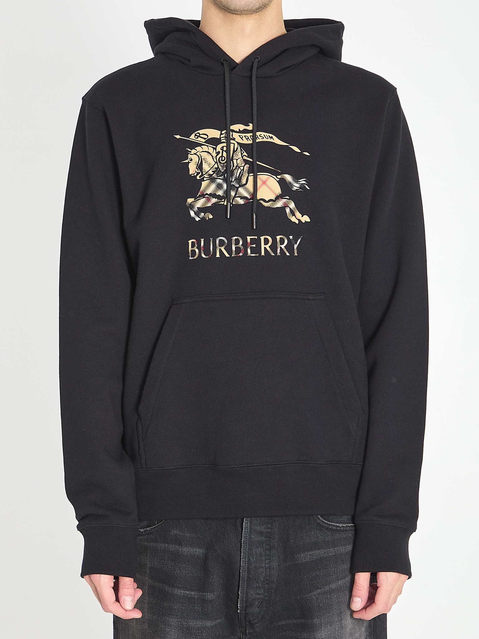 [Burberry] Sweatshirt SS26 8119021__A1189