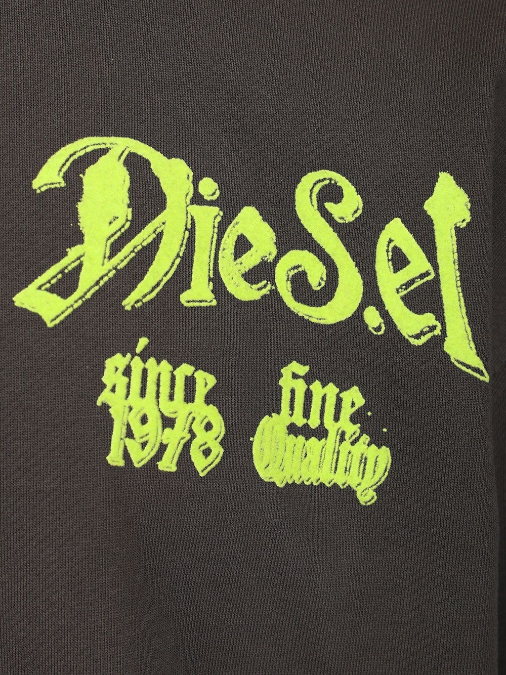 [Diesel] Sweatshirt CO A230030EFBU99J