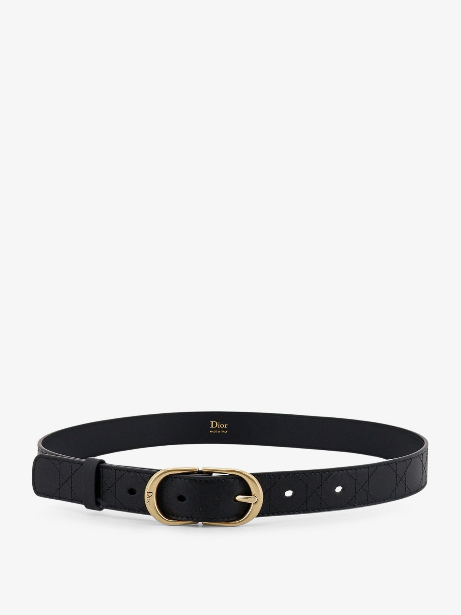 [Dior] Belt FW26 B1004CGCT900