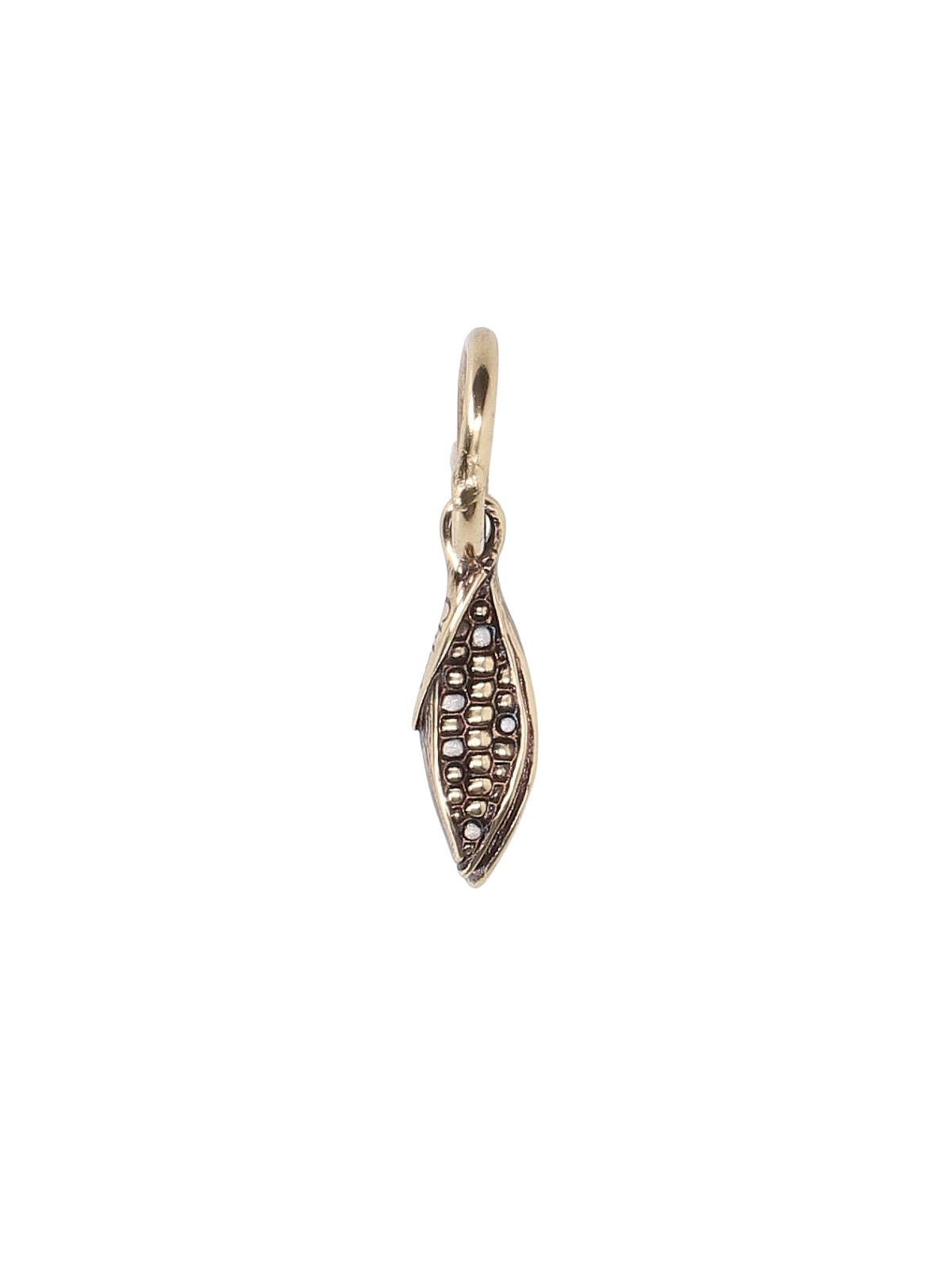 [Chloe] Earring FW26 26AK254CB79DA