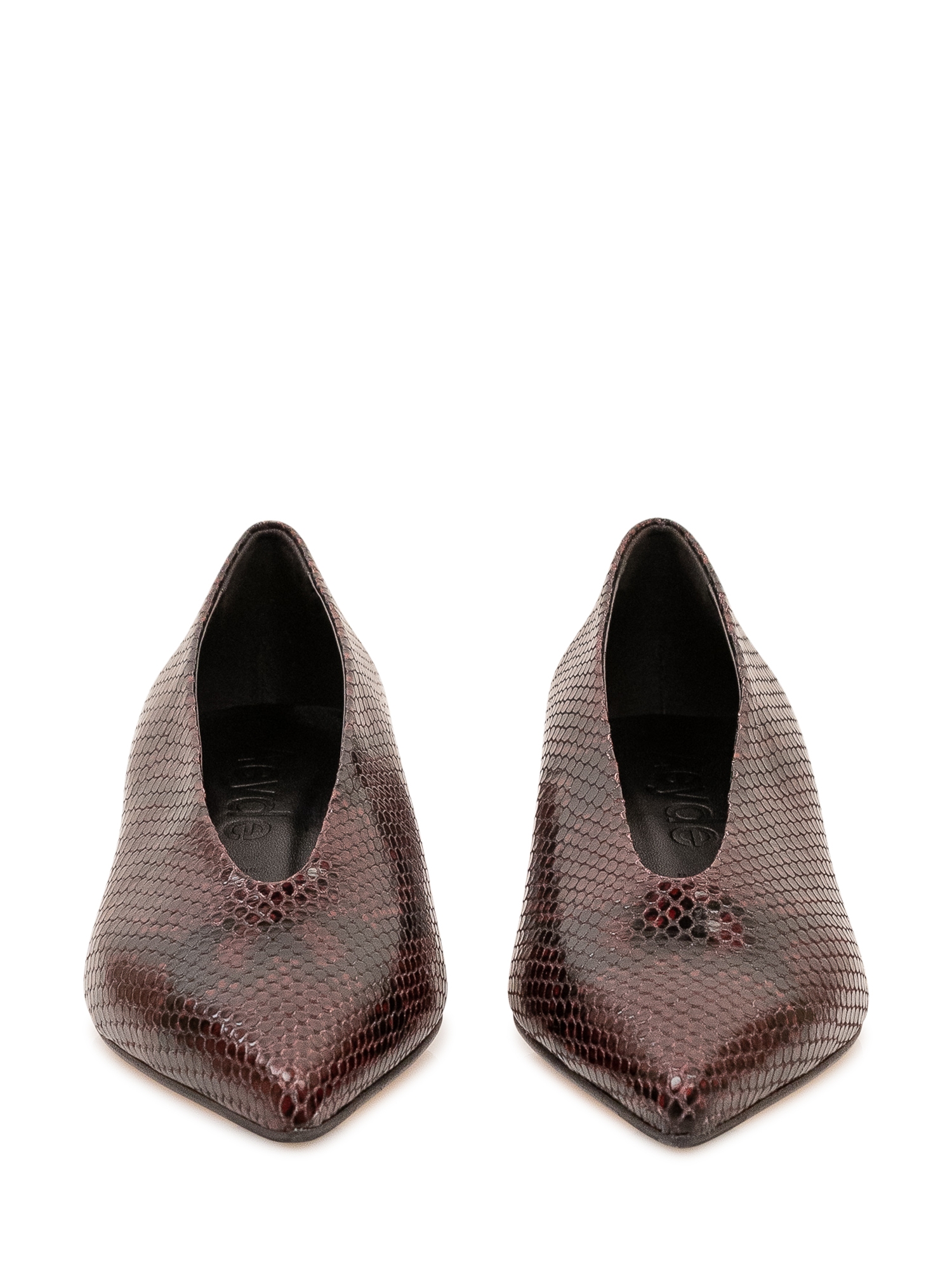 [Aeyde] Pumps FW26 A11PU0125006012 226