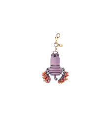 [Anya Hindmarch] Keyring FW26 208307IRIS