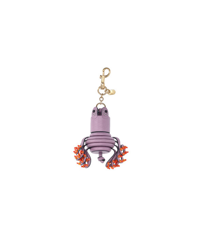 [Anya Hindmarch] Keyring FW26 208307IRIS