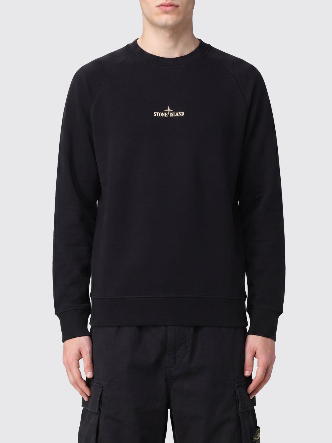 [Stone Island] Sweatshirt FW26 6100008S0466 V0029
