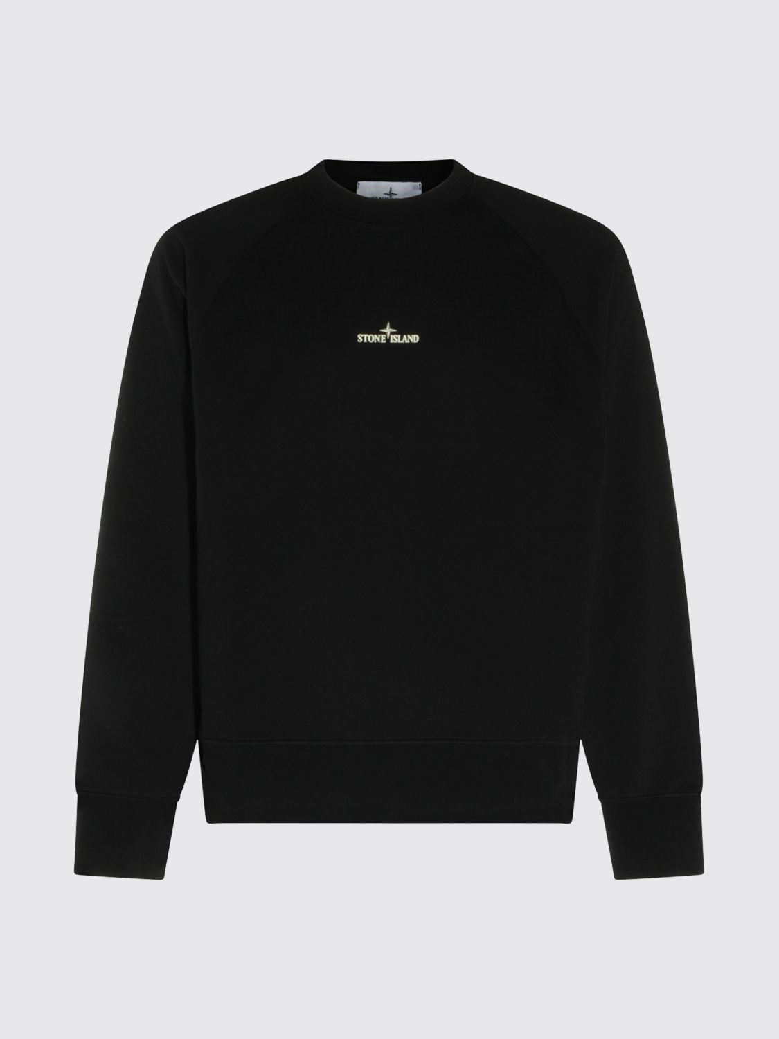 [Stone Island] Sweatshirt FW26 6100008S0466 V0029