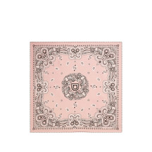 [Ferragamo] Scarf FW26 310248 0795300 ROSA