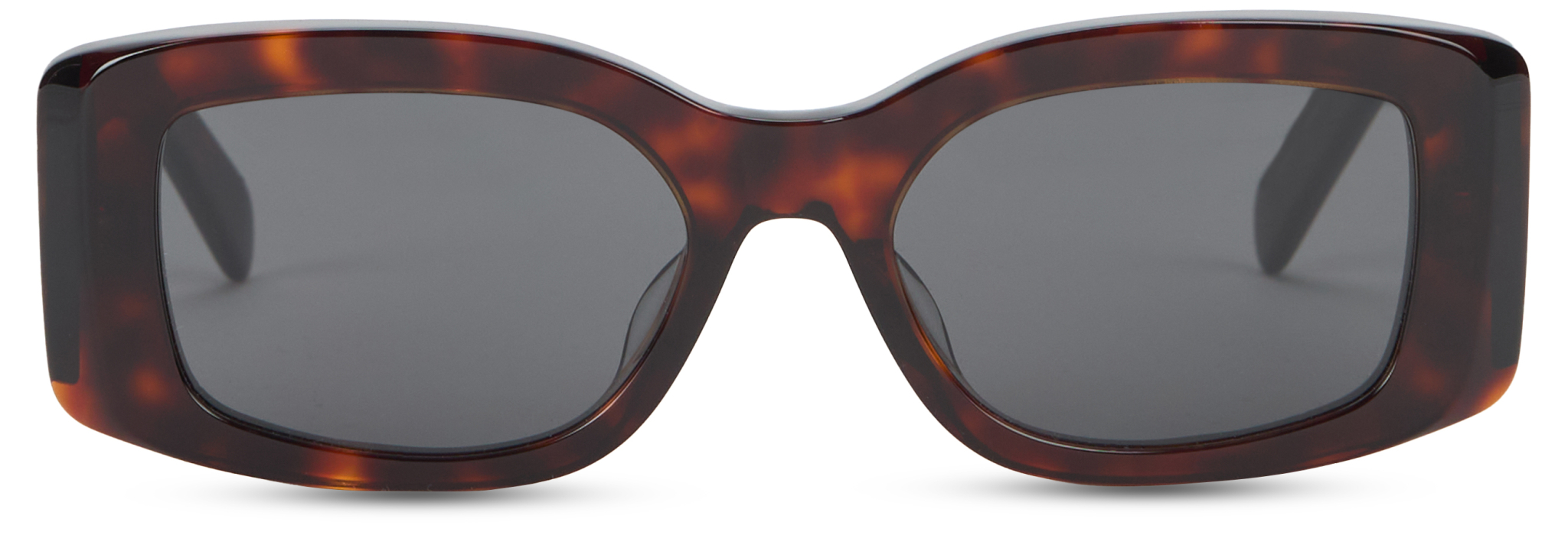 [Celine] Sunglasses SS26 4S282CPLB_19TR