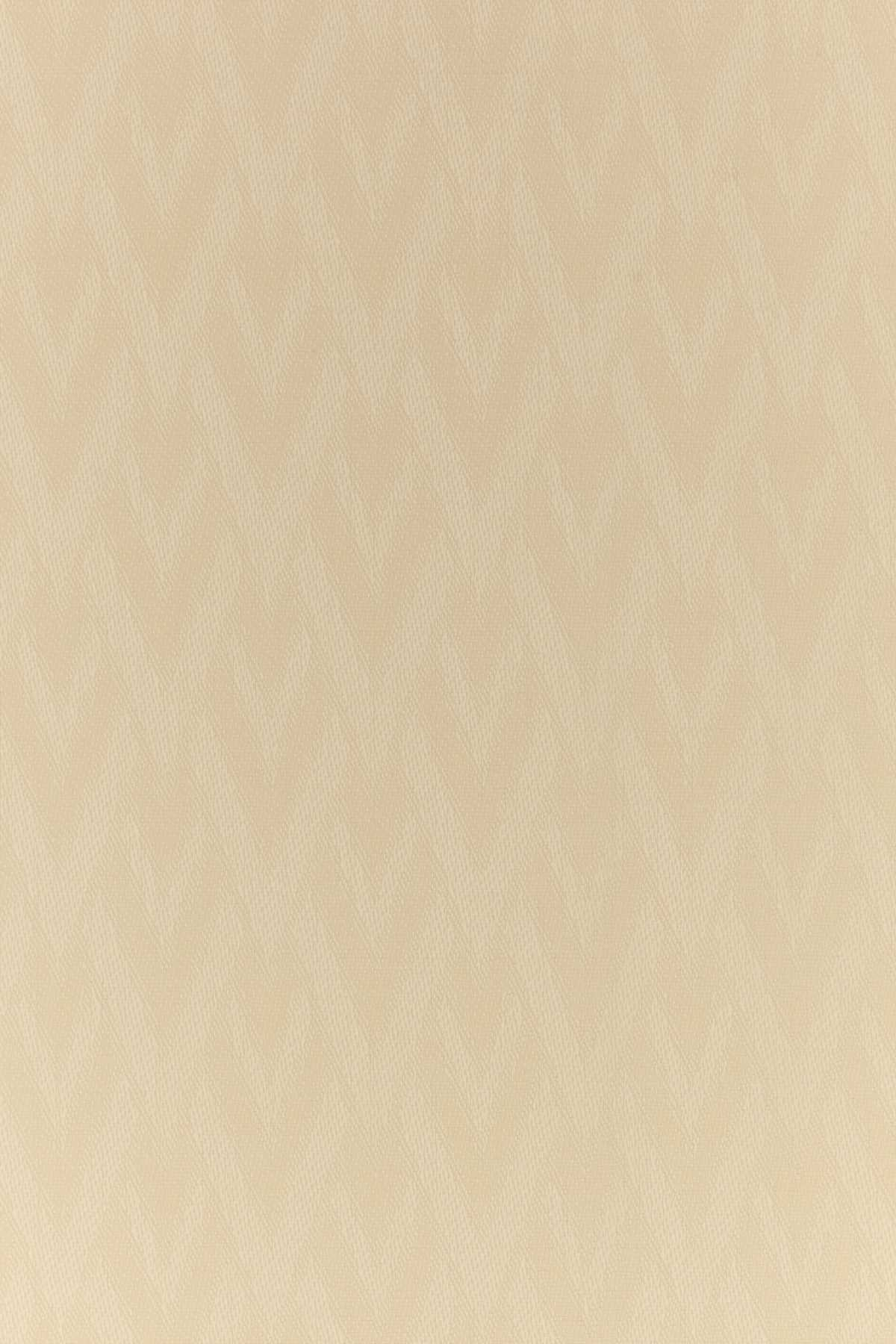 [Valentino Garavani] Scarf FW26 9W2EB104HKS 581