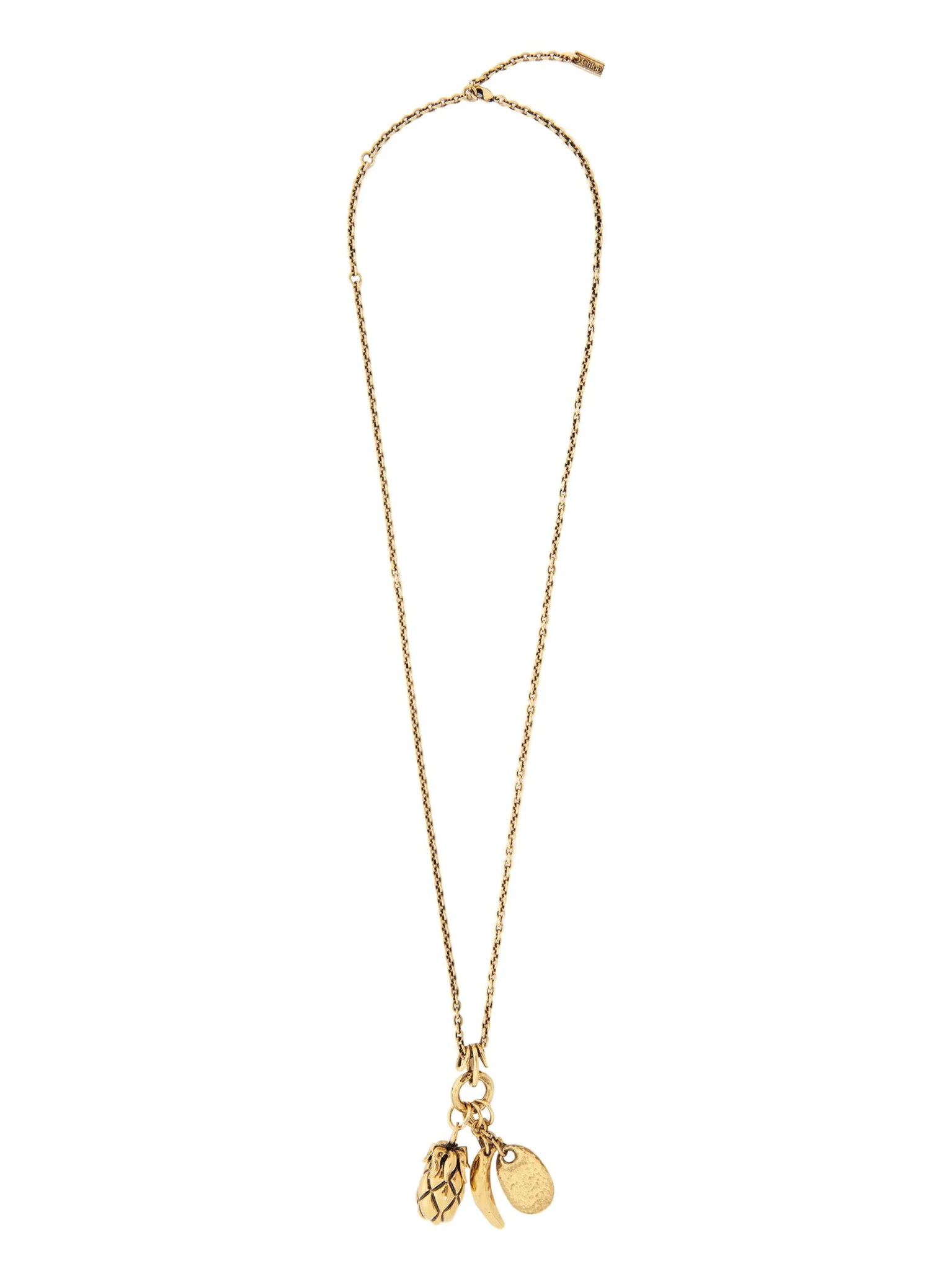 [Chloe] Necklace FW26 CHC24WFO79CB79DC