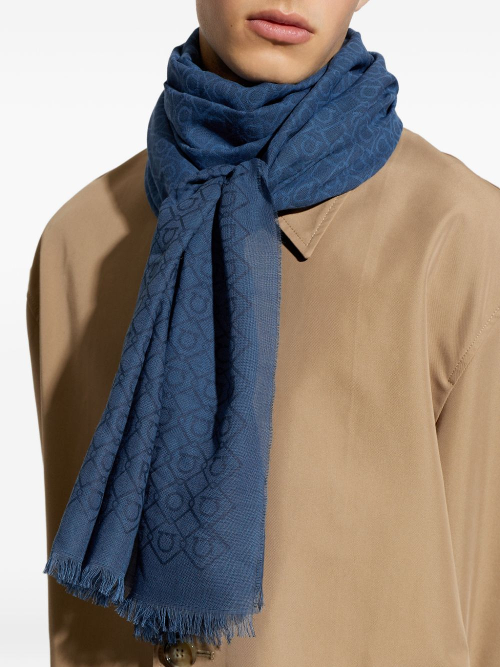 [Salvatore Ferragamo] Scarf FW26 520186795491001